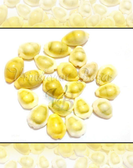 Puja Shells – Vrindavan Bazaar